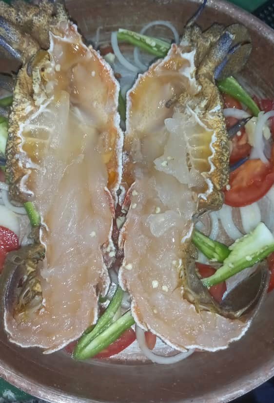 استكوزلا بجبنه 